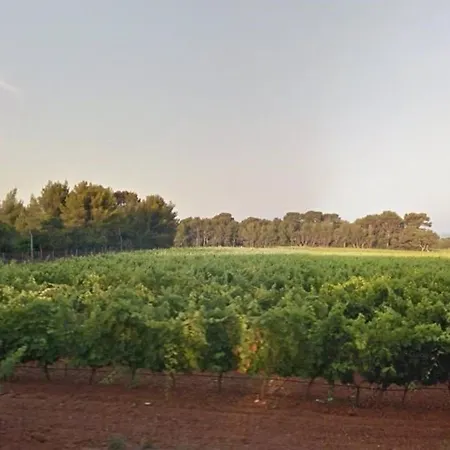 Apartman : T2 Avec 4 Couchages, Terrasse, Parking En Option, Animaux Admis - Fr-1-251-212