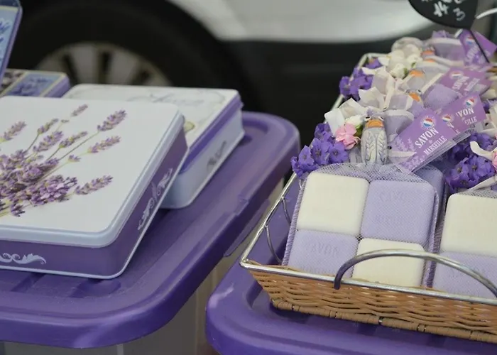 : T2 Avec 4 Couchages, Terrasse, Parking En Option, Animaux Admis - Fr-1-251-212 Apartman Le Lavandou