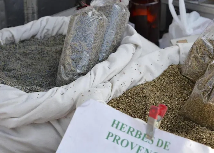 : T2 Avec 4 Couchages, Terrasse, Parking En Option, Animaux Admis - Fr-1-251-212 Apartman Le Lavandou