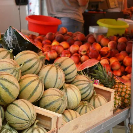 : T2 Avec 4 Couchages, Terrasse, Parking En Option, Animaux Admis - Fr-1-251-212 Apartment Le Lavandou