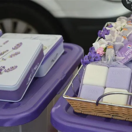 : T2 Avec 4 Couchages, Terrasse, Parking En Option, Animaux Admis - Fr-1-251-212 Apartment Le Lavandou