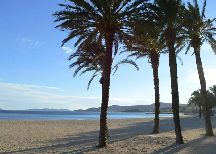 : T2 Avec 4 Couchages, Terrasse, Parking En Option, Animaux Admis - Fr-1-251-212 Le Lavandou