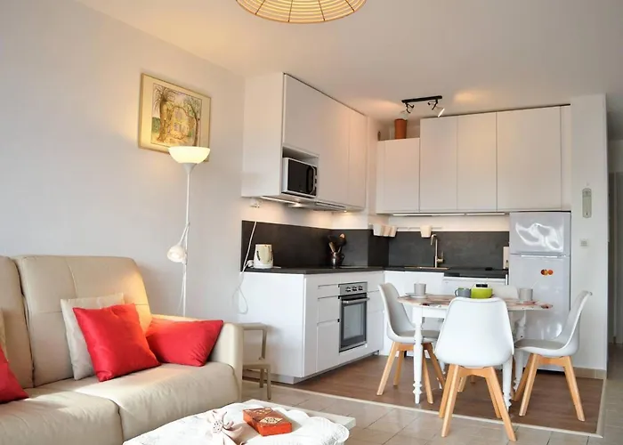 Apartman : T2 Avec 4 Couchages, Terrasse, Parking En Option, Animaux Admis - Fr-1-251-212 Le Lavandou